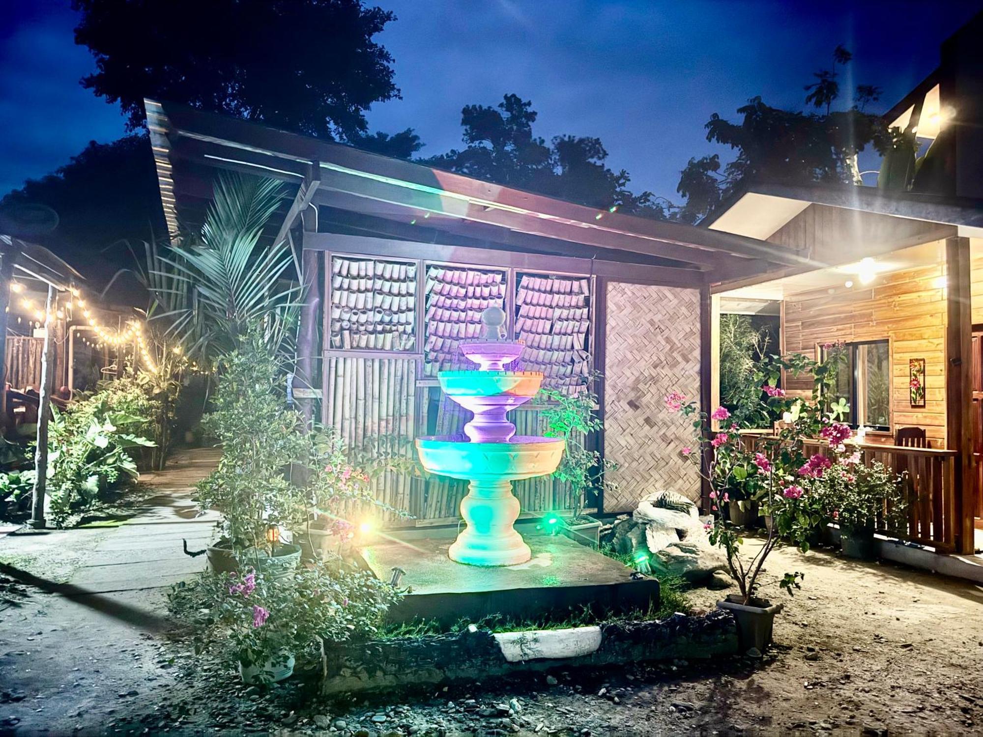 Theresa'S Pension House San Vicente  Exterior foto