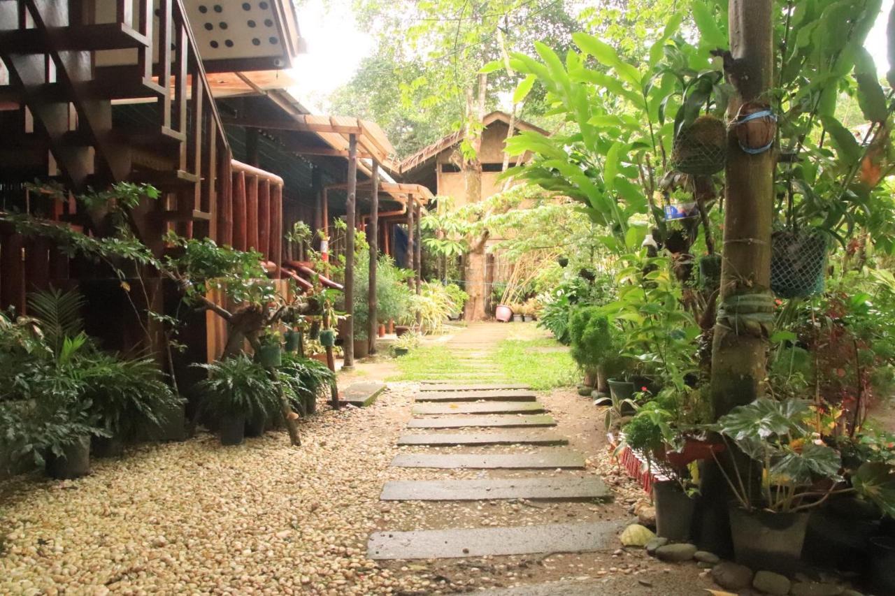 Theresa'S Pension House San Vicente  Exterior foto