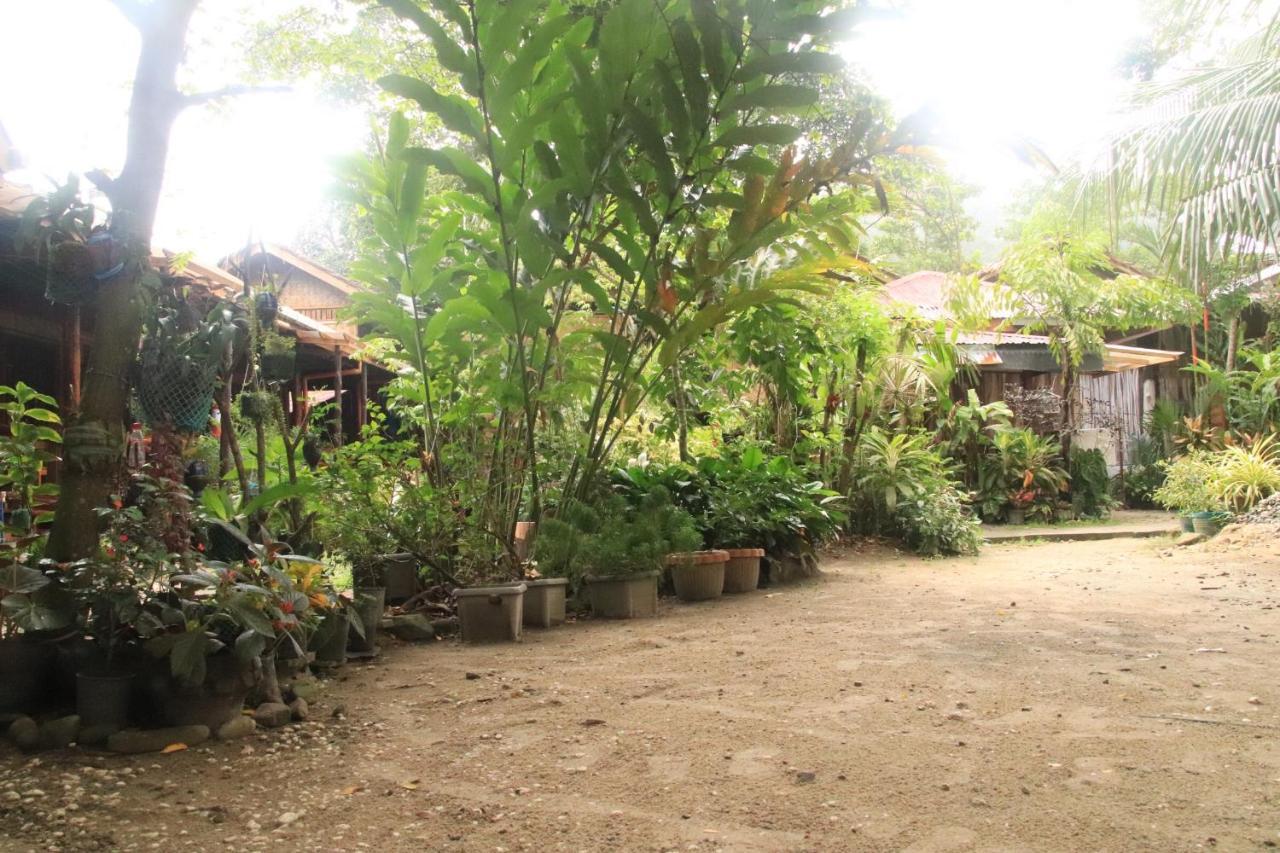 Theresa'S Pension House San Vicente  Exterior foto